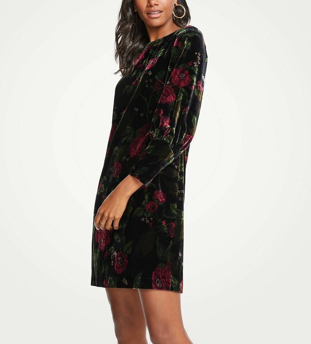 Ann Taylor Cuffed Floral Velvet Long Sleeve Shift Dress Size 8 NEW!!!